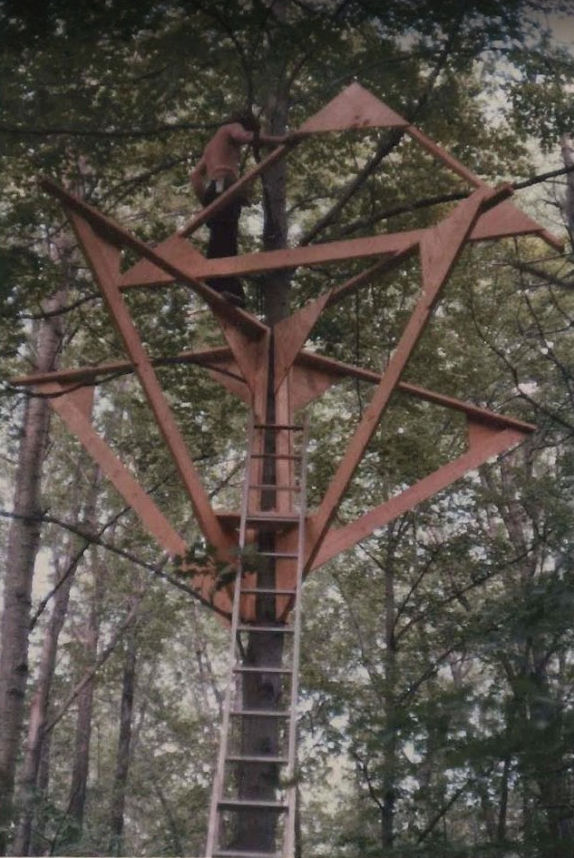 Jeff's geometric treehouse in the forest